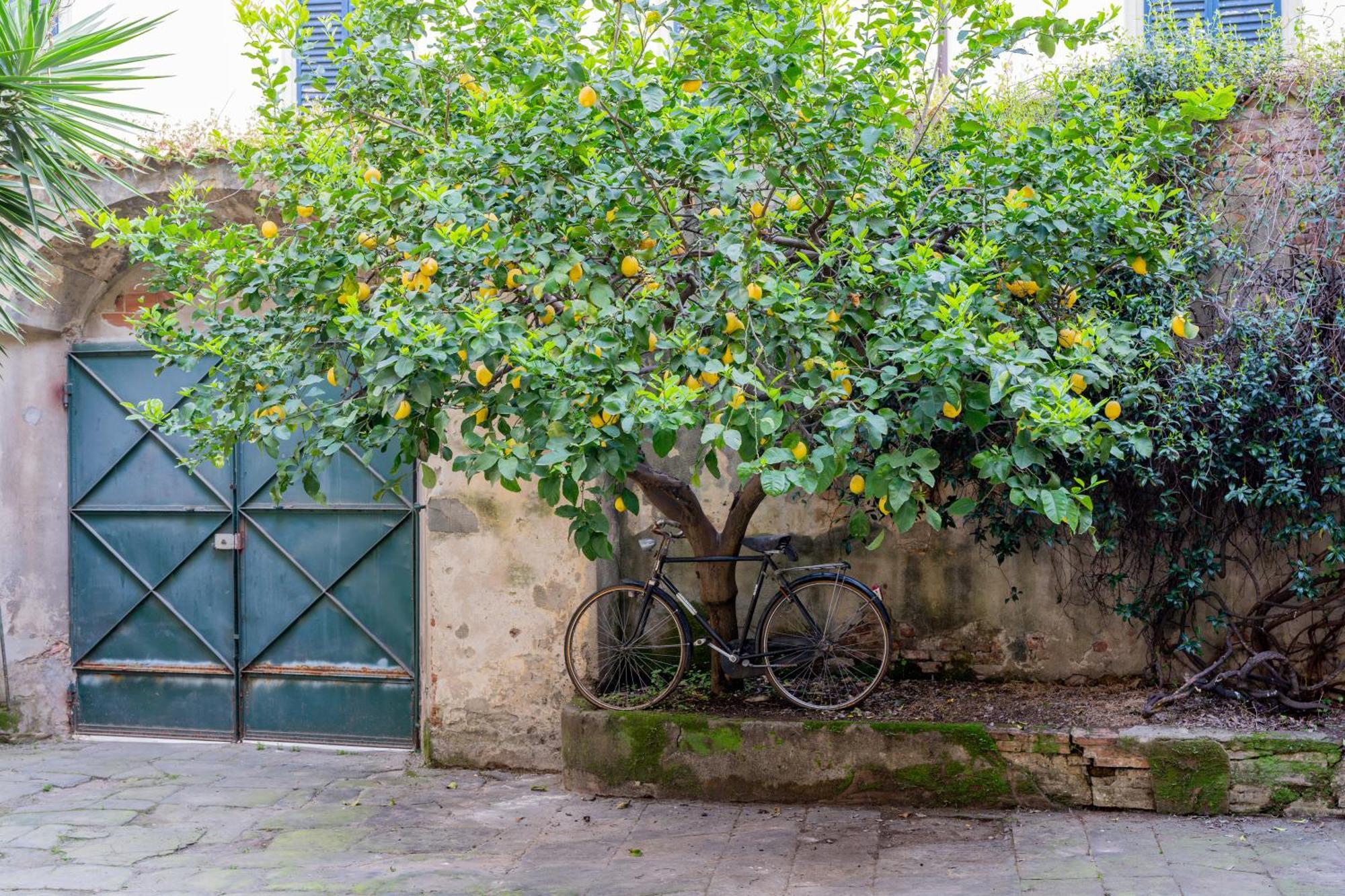 B&B Via Corsica 10 피사 외부 사진